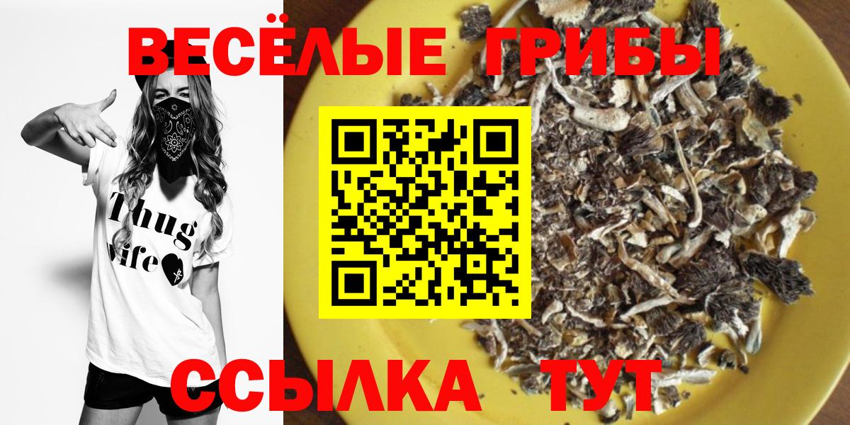 Псилоцибиновые грибы мухоморы  Вход с VPN  Прокопьевск  Псилоцибиновые грибы прущие грибы 